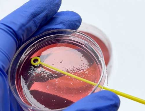 What Is An Inoculating Loop Used For?